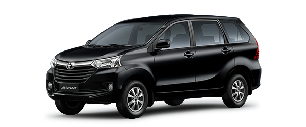 Den-X12-MT